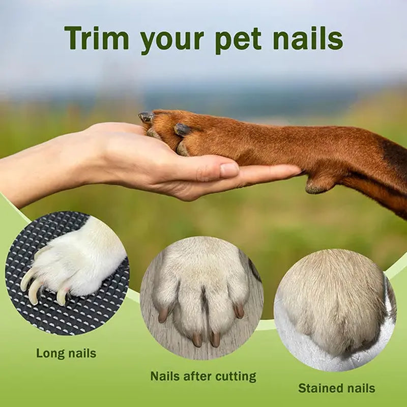 Summervibes Petlovers 2-In-1 Pet Nail Clipper and Grinder, Dog Nail Clipper Trimmer, Ultra Quiet Electric Nail Set, Rechargeable, Suitable for Trimming Toes and Claws of Dogs and Cats of All Sizes